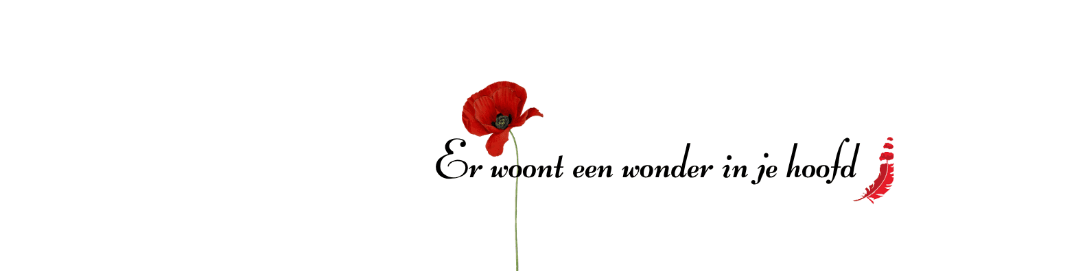 Profile banner